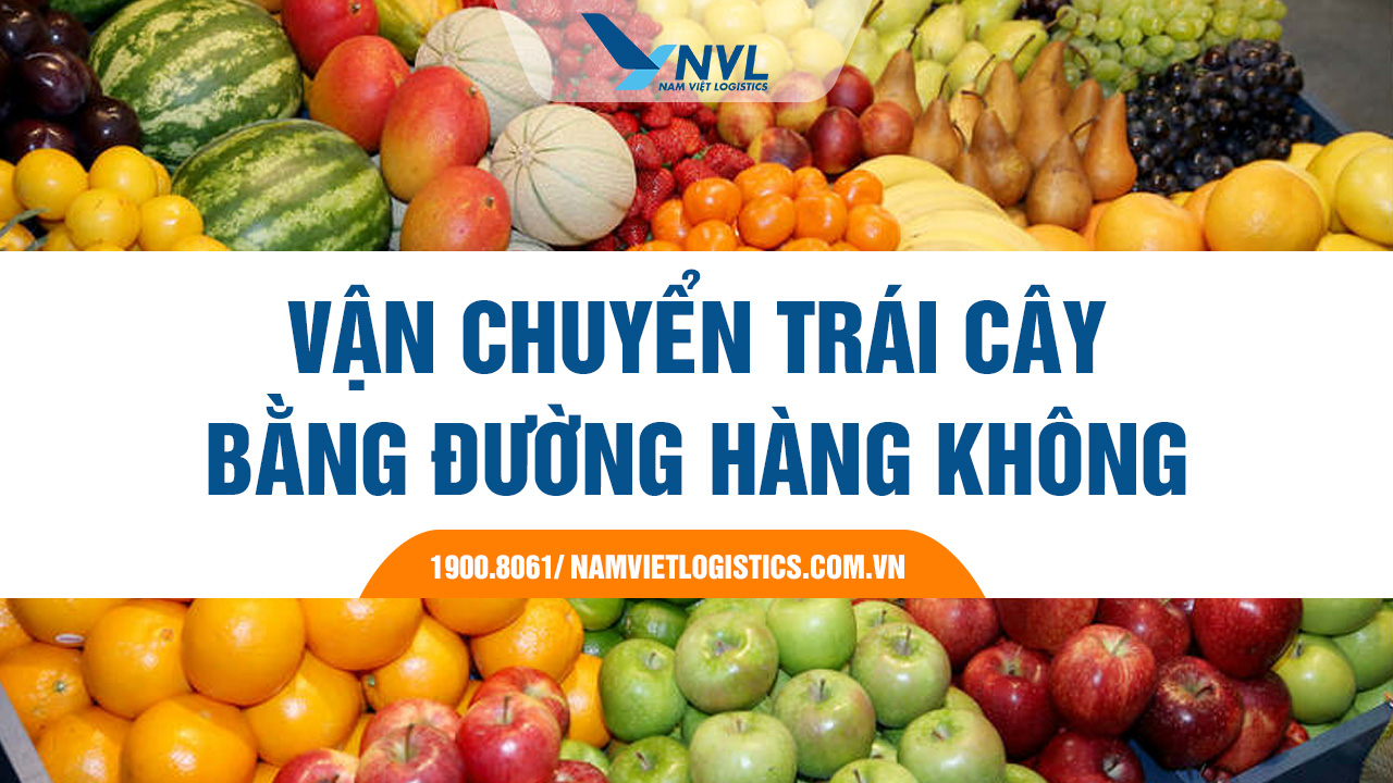 Nam Việt Logistics