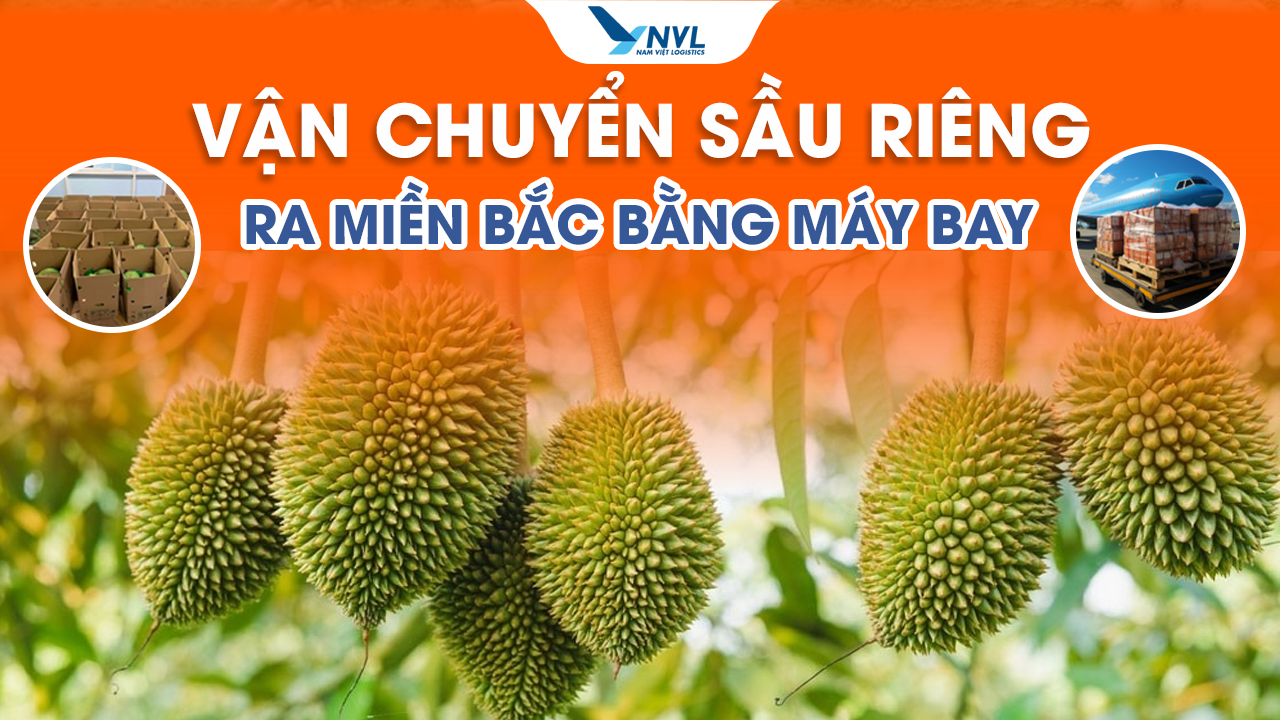 Vận chuyển sầu riêng ra Bắc bằng máy bay