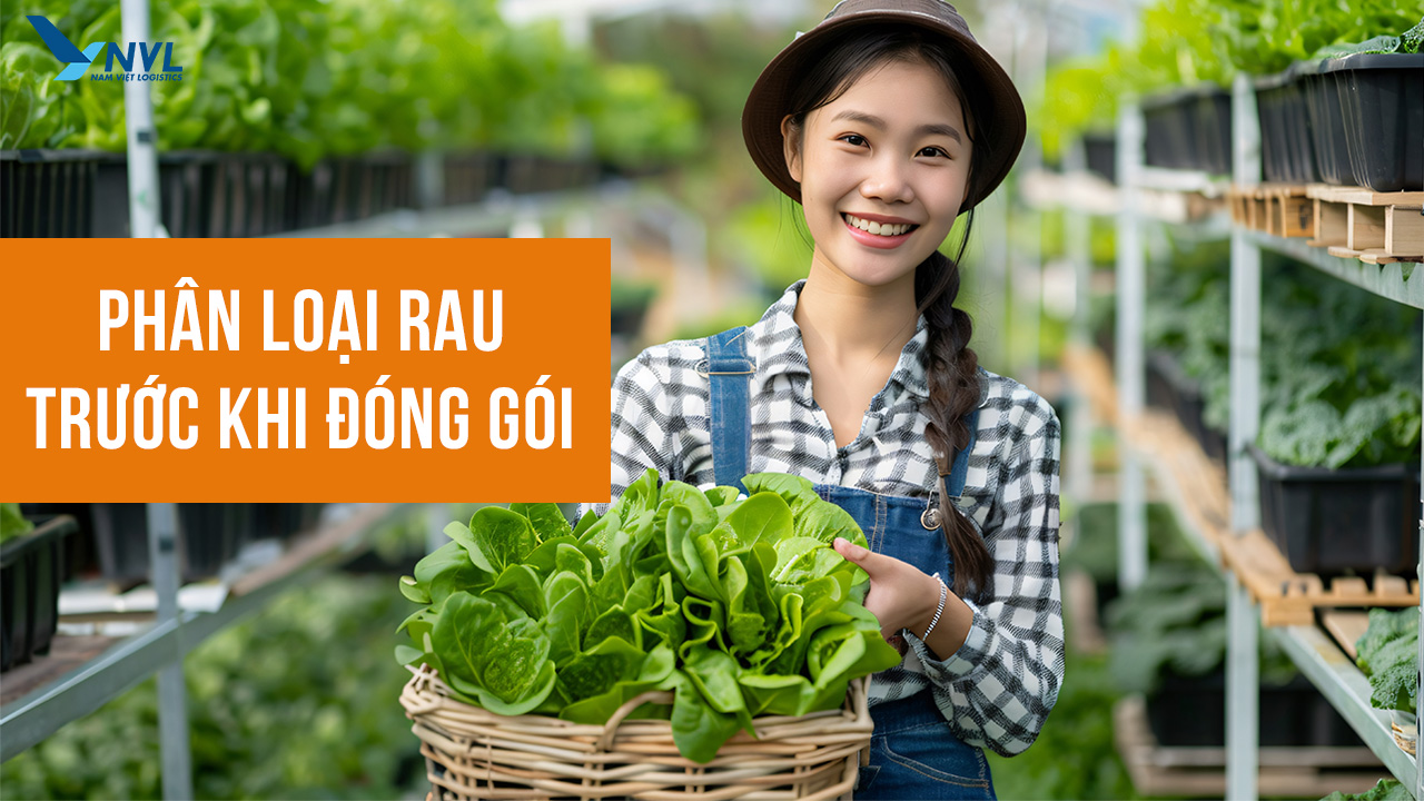 Cách đóng gói rau củ quả đi xa giữ trọn tươi ngon