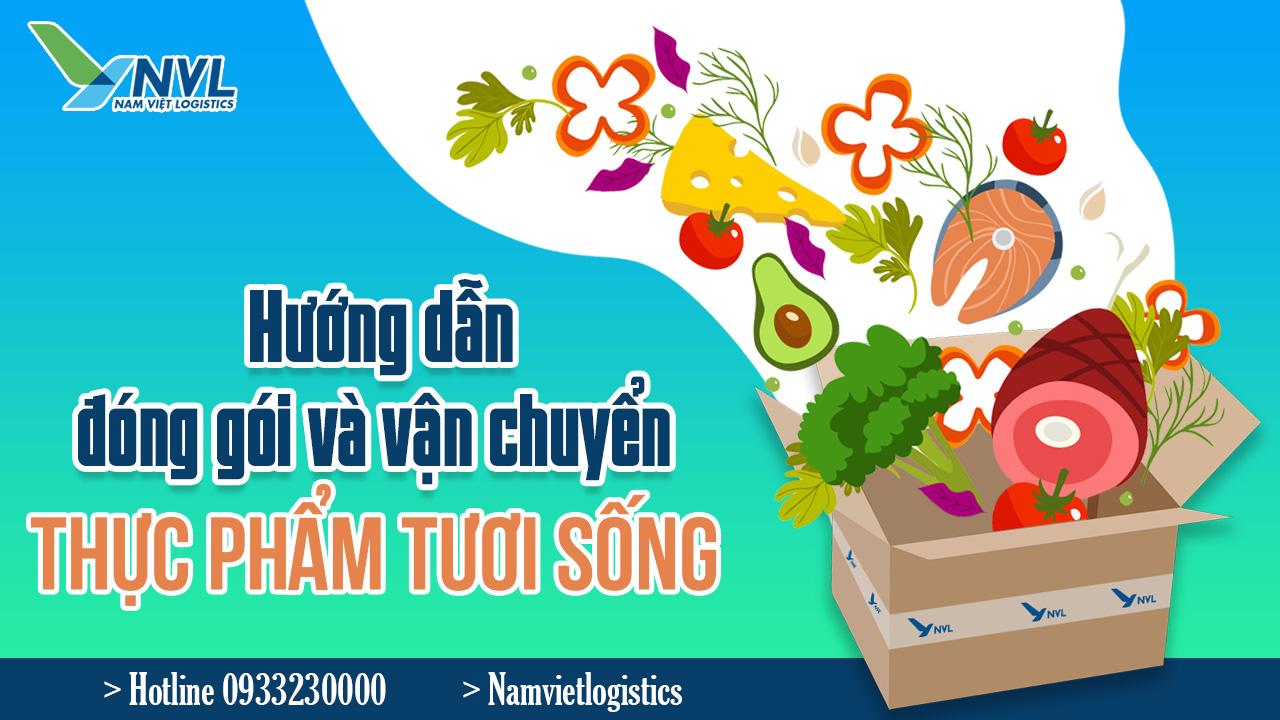 Nam Việt Logistics