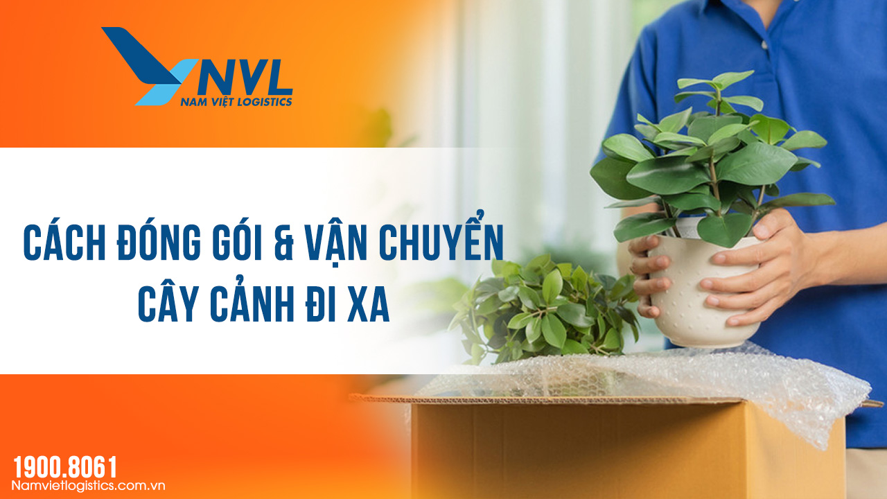 Nam Việt Logistics