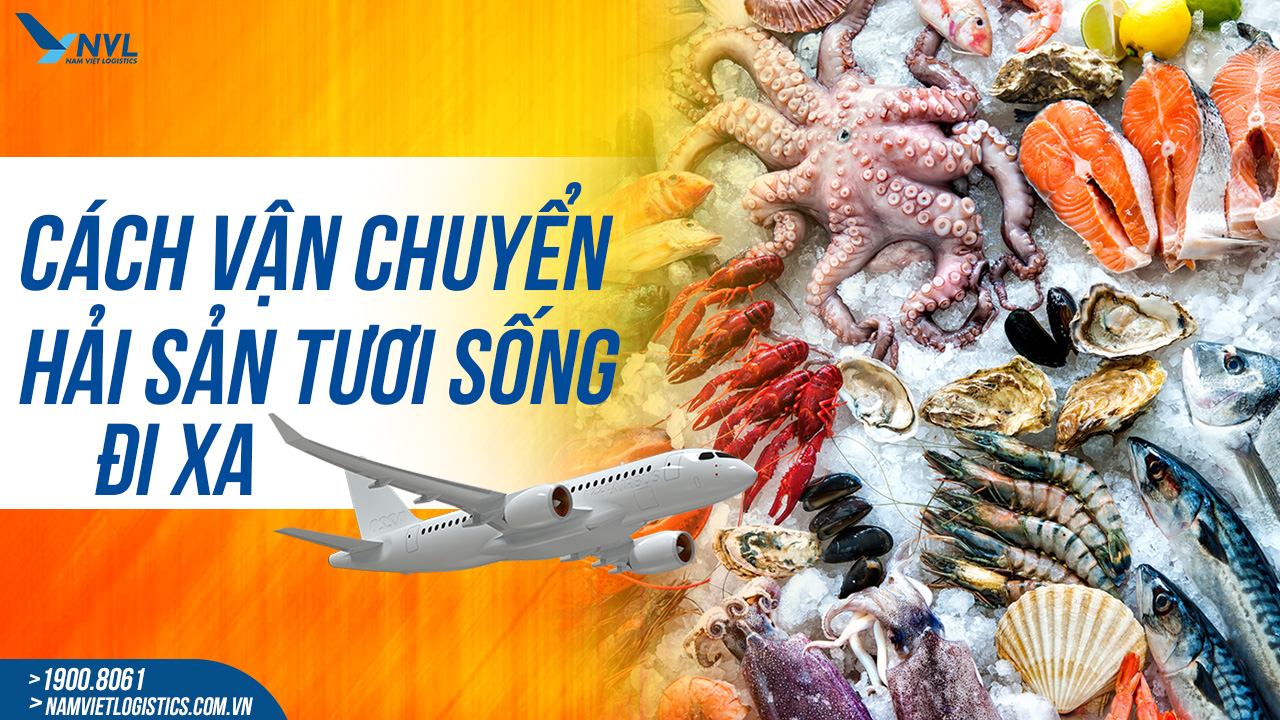 cách vận chuyển hải sản đi xa