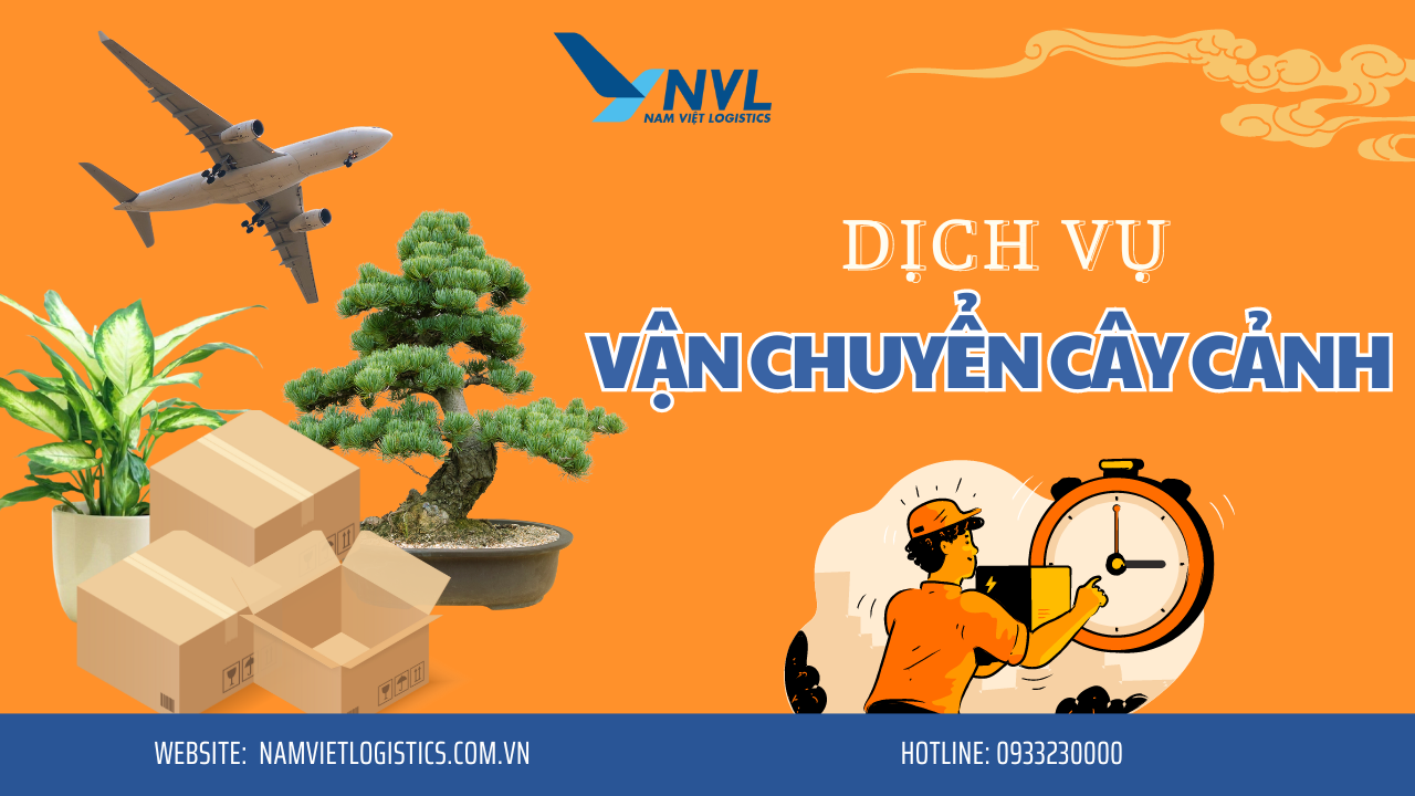 Nam Việt Logistics