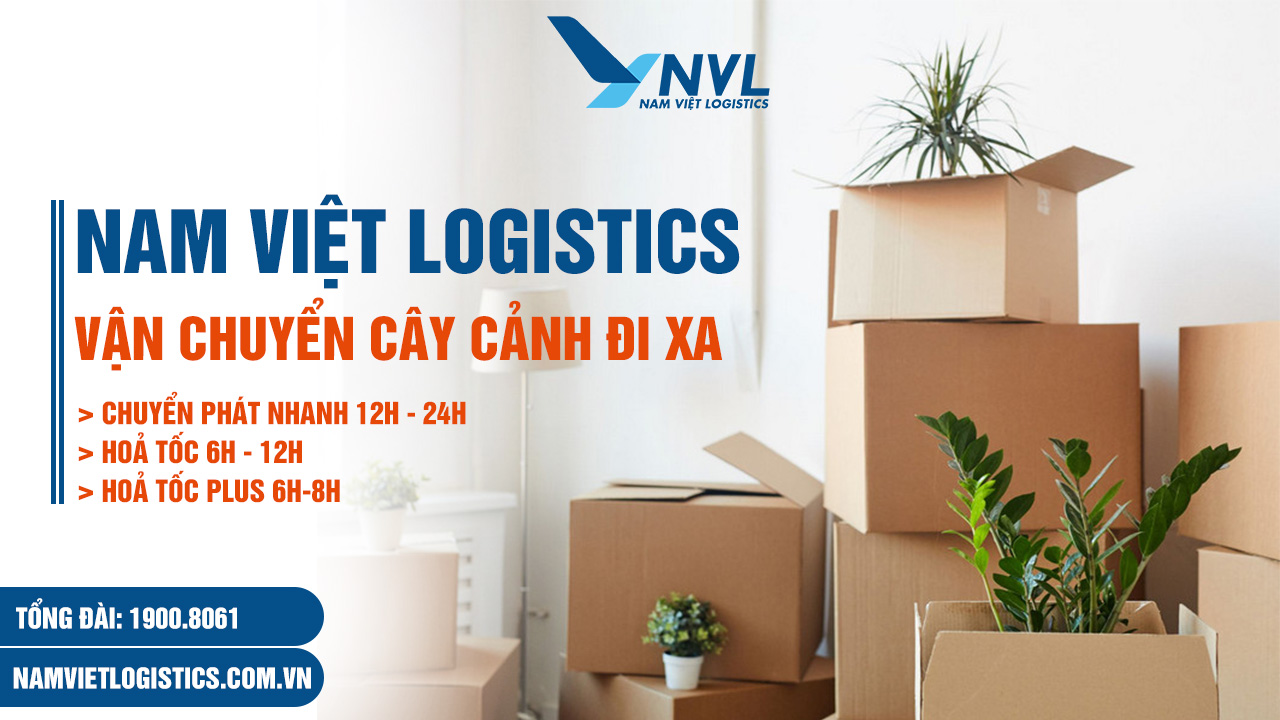 Cách vận chuyển cây cảnh đi xa