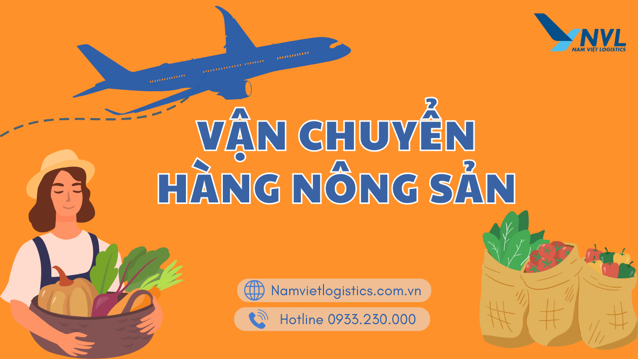 Nam Việt Logistics