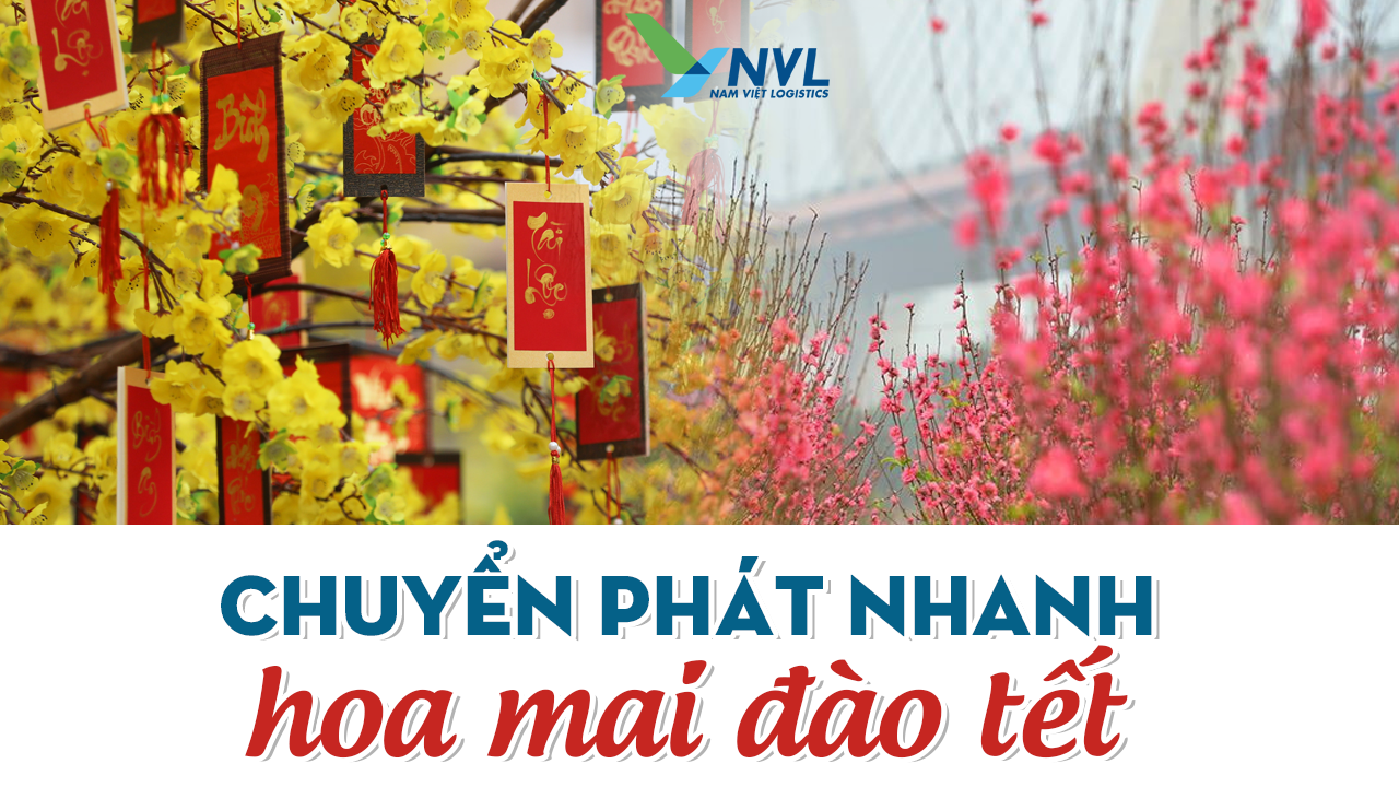 Vận chuyển hoa đào mai tết HN - Sài Gòn