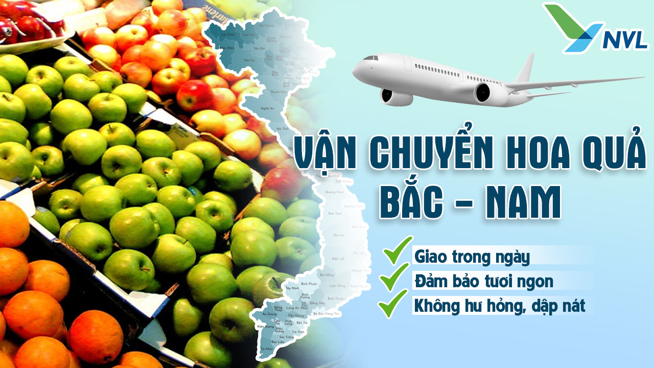 Vận chuyển hoa quả Bắc Nam - Nam Việt Logisitcs