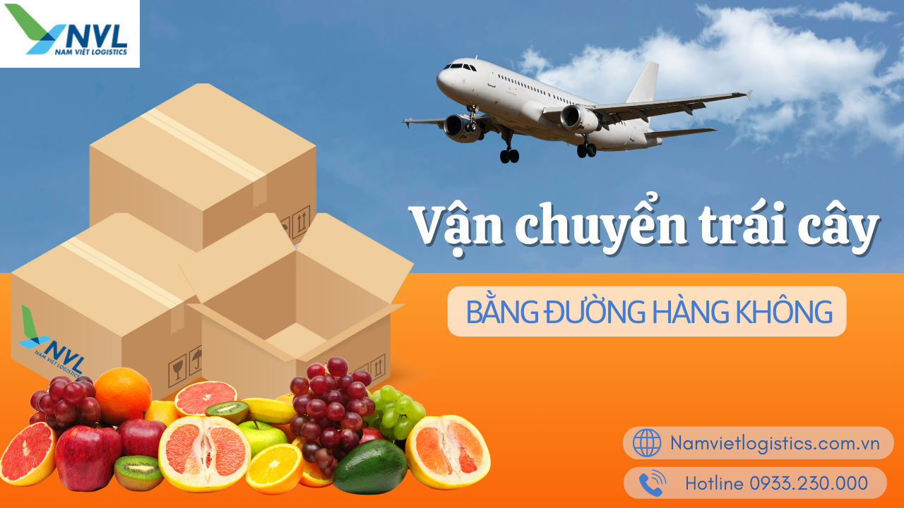 Nam Việt Logistics